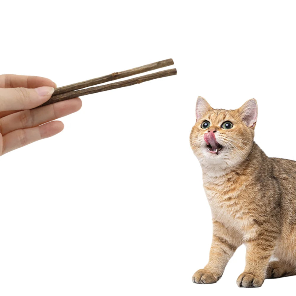 Premium Natural Matatabi Cat Chew Stick - Dental Care & Furniture Saver