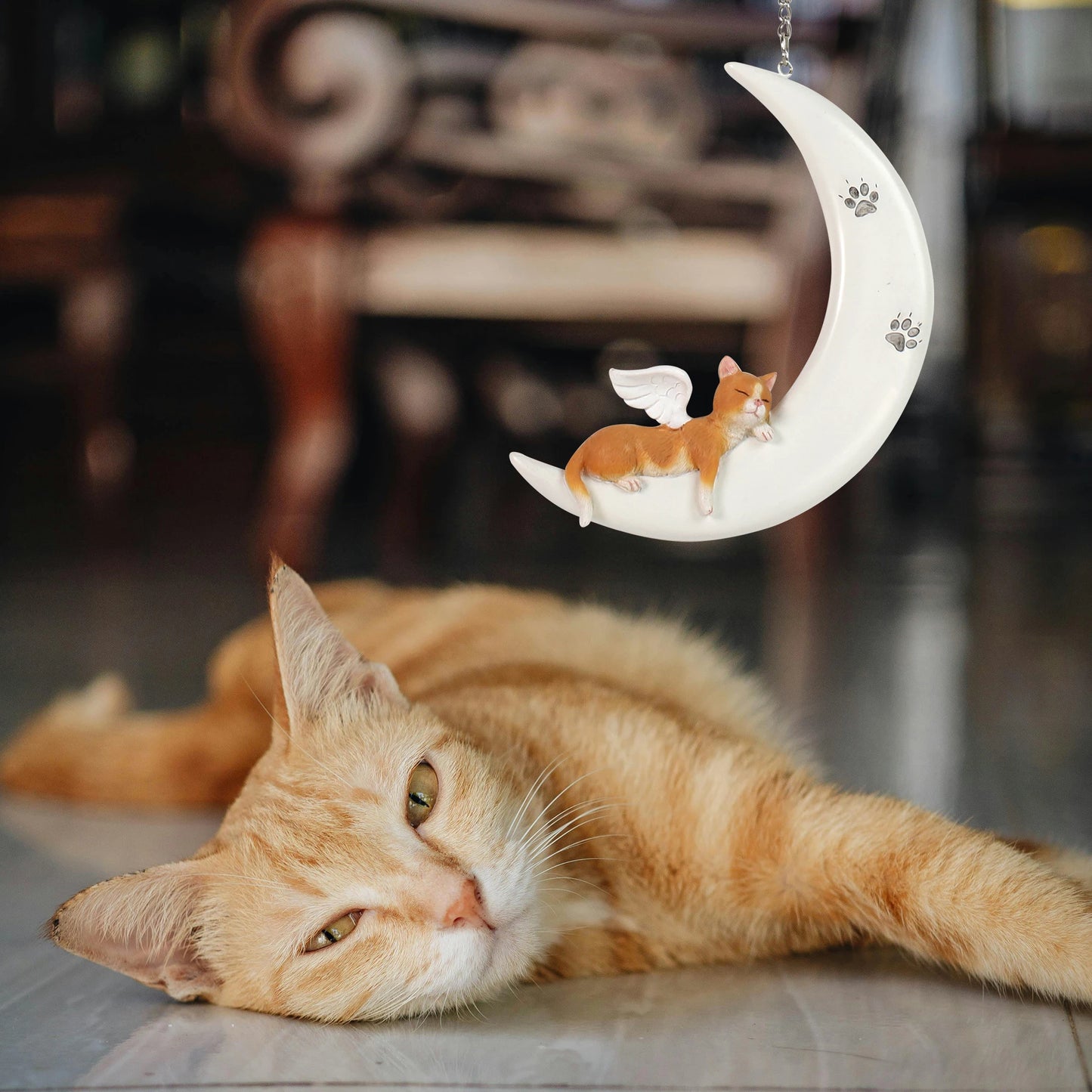 Angel Cat Moon Resin Ornament Cartoon Painting Style Animal Pattern Pet Memorial Figurine for Indoor Outdoor Home Decor Souvenir