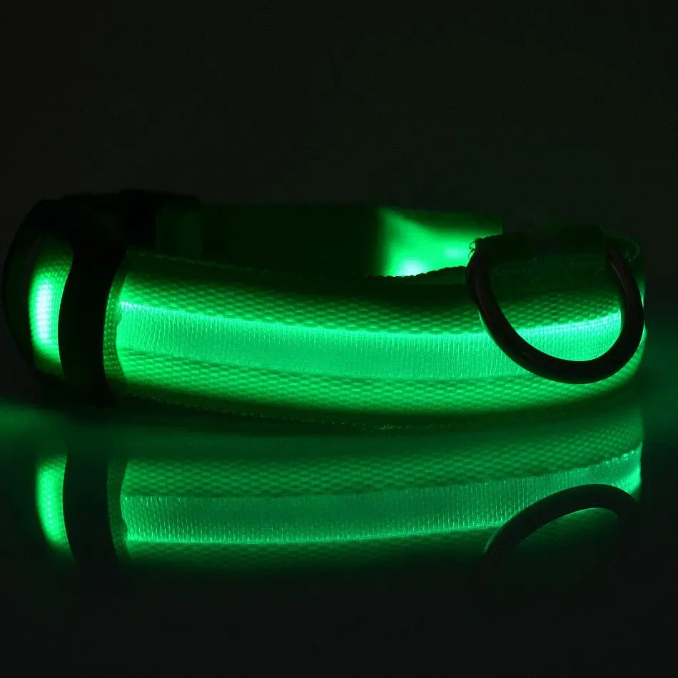 Premium LED Dog Collar - Glowing Night Safety Nylon Collar