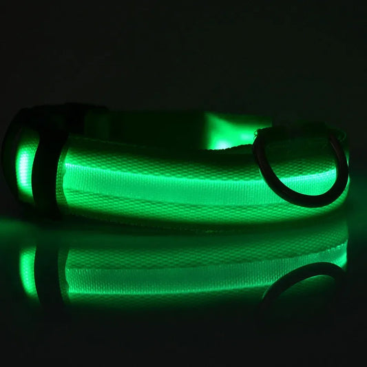 Premium LED Dog Collar - Glowing Night Safety Nylon Collar