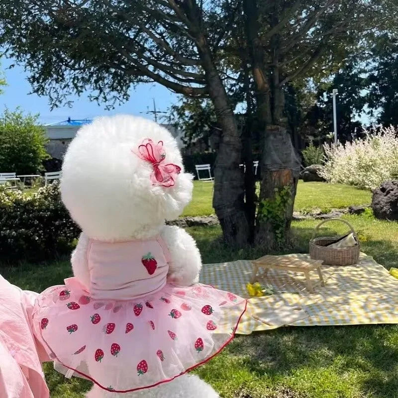 Premium Dog Dress - Strawberry Daisy Princess Skirt for Small Dogs