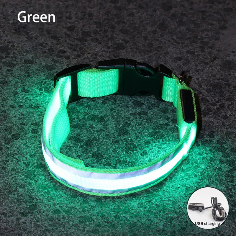 Premium Rechargeable LED Dog Collar - USB & Battery Night Safety Light