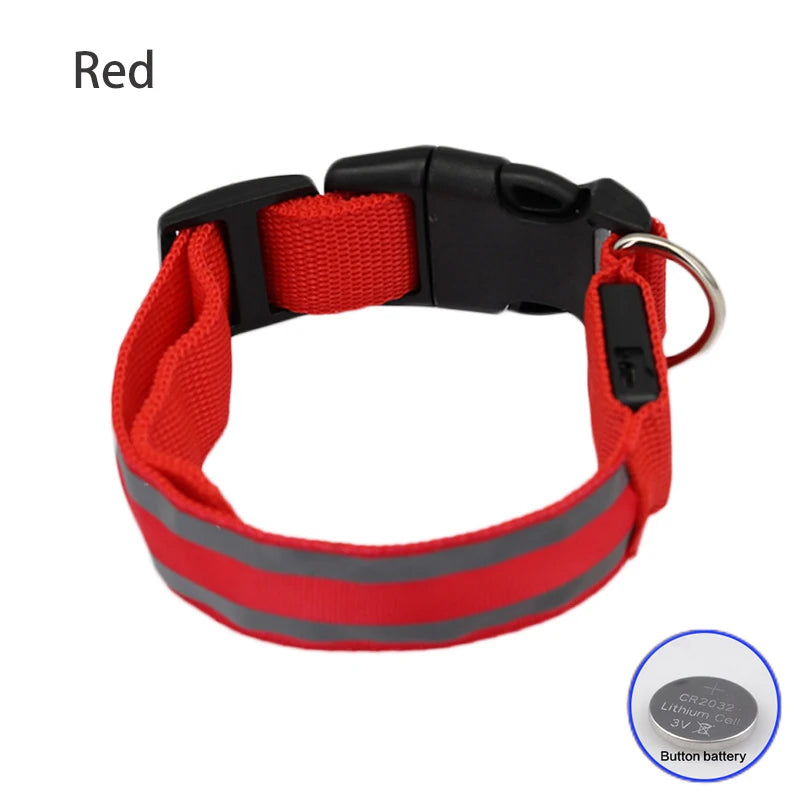 Premium Rechargeable LED Dog Collar - USB & Battery Night Safety Light