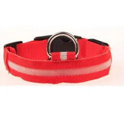 Premium LED Dog Collar - Glowing Night Safety Nylon Collar