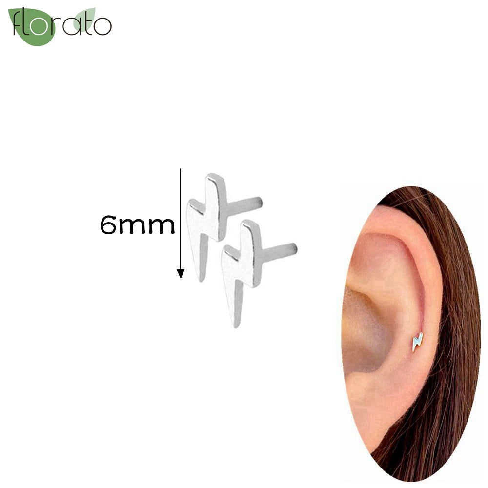 925 Silver Needle Exquisite Zircon Small Earrings Fashion Stud Earrings for Women Anti Allergy Cartilage Puncture Jewelry Gift