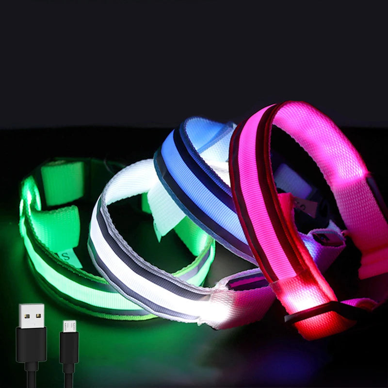 Premium Rechargeable LED Dog Collar - USB & Battery Night Safety Light