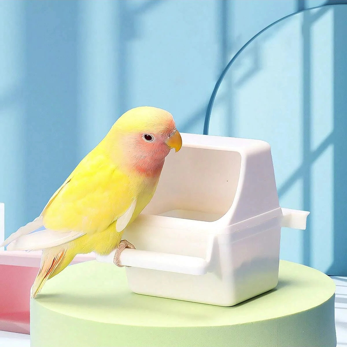 1pc-Acrylic feeding tool for small poultry, splash proof bird food container