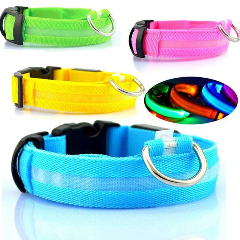 Premium LED Dog Collar - Glowing Night Safety Nylon Collar