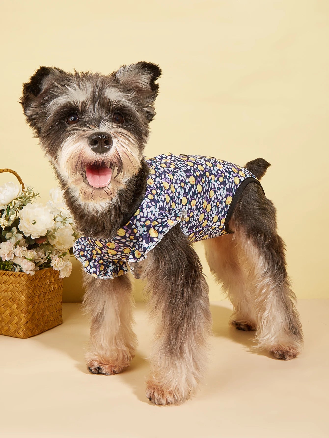 Dog Pjs Spring Summer Dog Clothes Hem Ruffle for Small Dogs Girl Boy , Cute Pattern Puppy Clothes Doggie Onesies Cat Pet