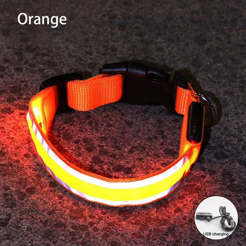 Premium Rechargeable LED Dog Collar - USB & Battery Night Safety Light