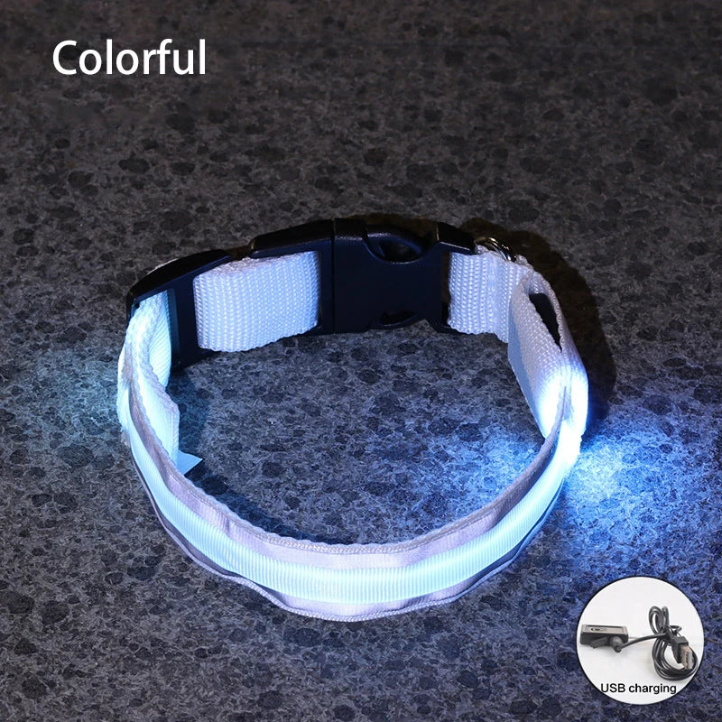 Premium Rechargeable LED Dog Collar - USB & Battery Night Safety Light