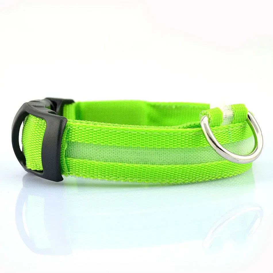 Premium LED Dog Collar - Glowing Night Safety Nylon Collar
