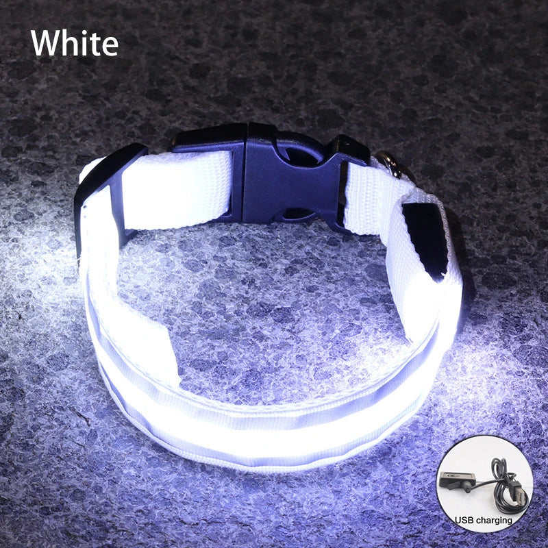 Premium Rechargeable LED Dog Collar - USB & Battery Night Safety Light