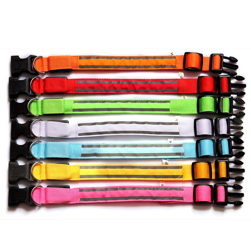 Premium Rechargeable LED Dog Collar - USB & Battery Night Safety Light