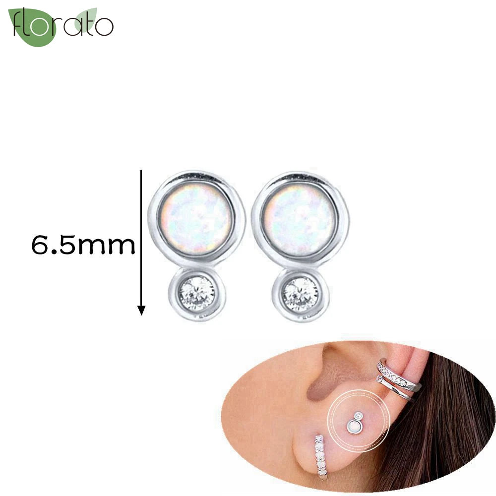 925 Silver Needle Exquisite Zircon Small Earrings Fashion Stud Earrings for Women Anti Allergy Cartilage Puncture Jewelry Gift