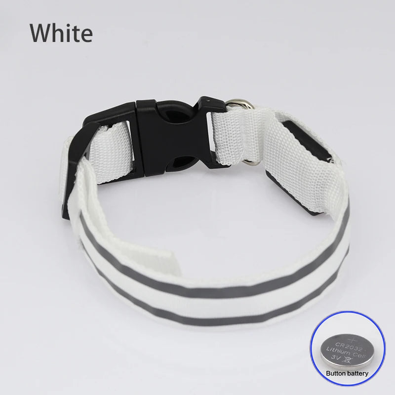 Premium Rechargeable LED Dog Collar - USB & Battery Night Safety Light