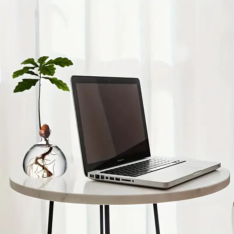 Avocado Vase Grow Glass Bulb Vases Acorn Seed Starter Vase Avocados Pit Planter Pot for Gardening Lover Indoor Hydroponics