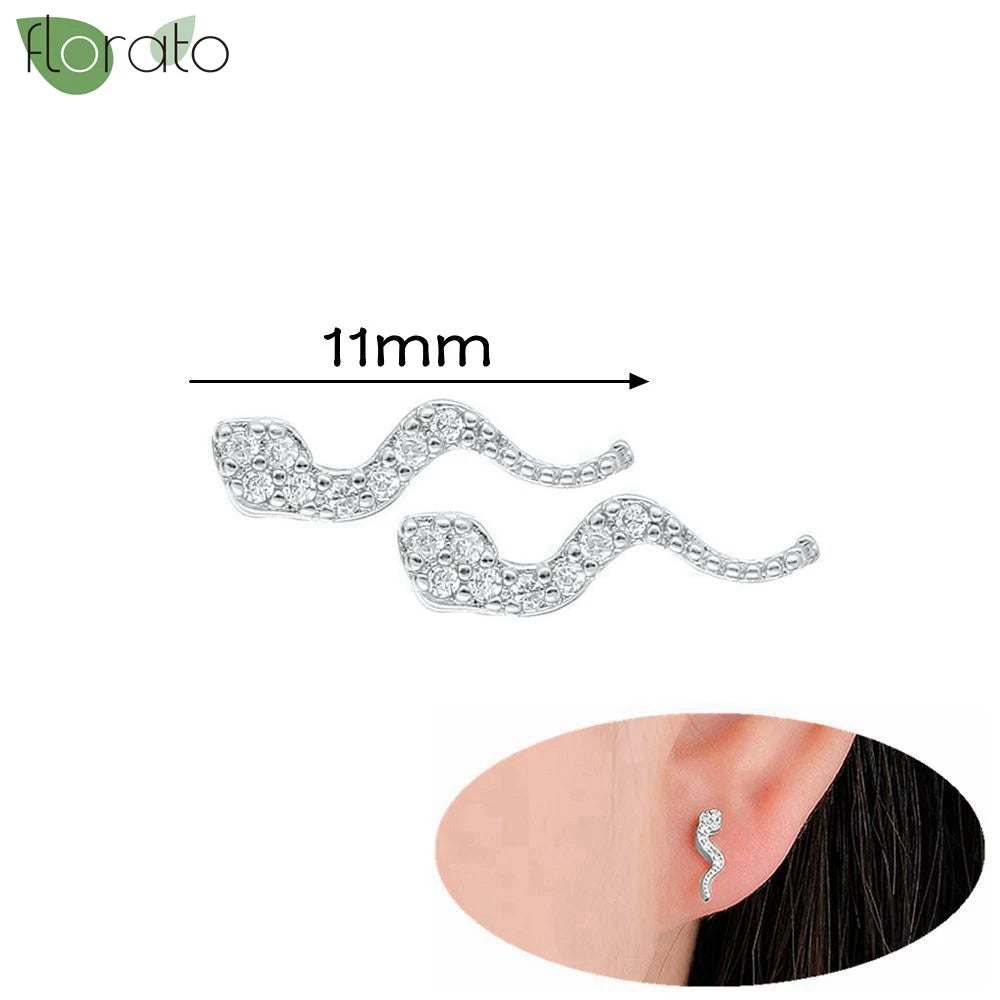 925 Silver Needle Exquisite Zircon Small Earrings Fashion Stud Earrings for Women Anti Allergy Cartilage Puncture Jewelry Gift