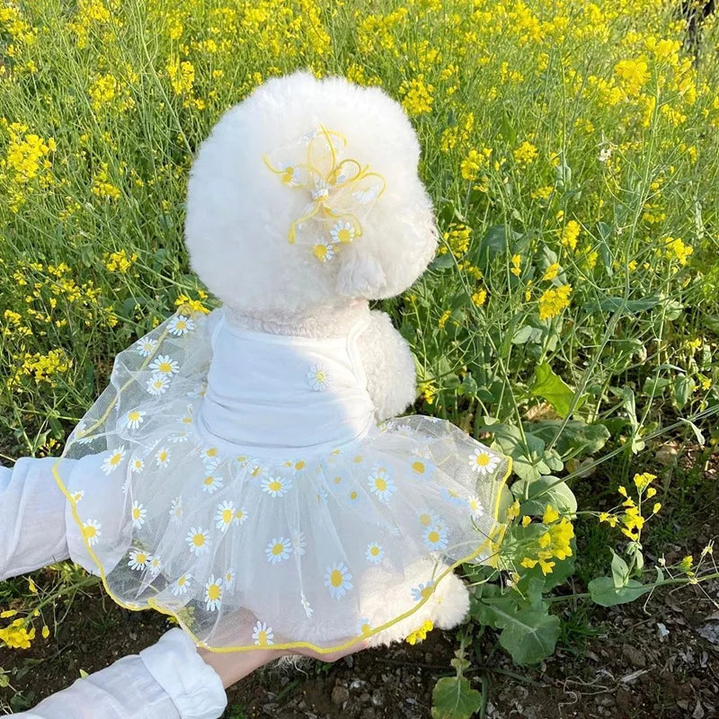 Premium Dog Dress - Strawberry Daisy Princess Skirt for Small Dogs