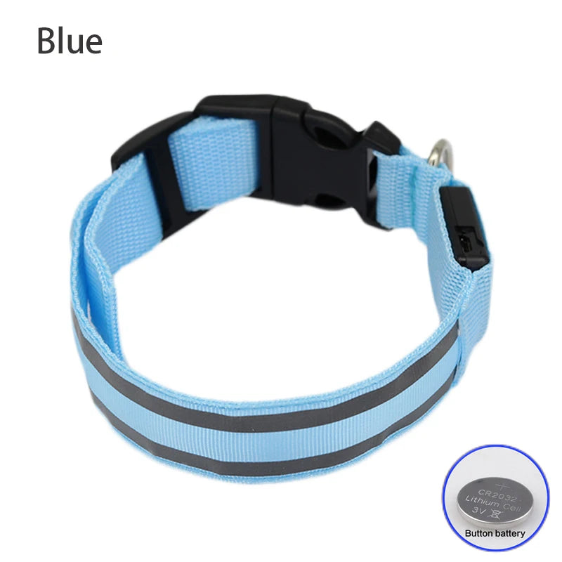 Premium Rechargeable LED Dog Collar - USB & Battery Night Safety Light