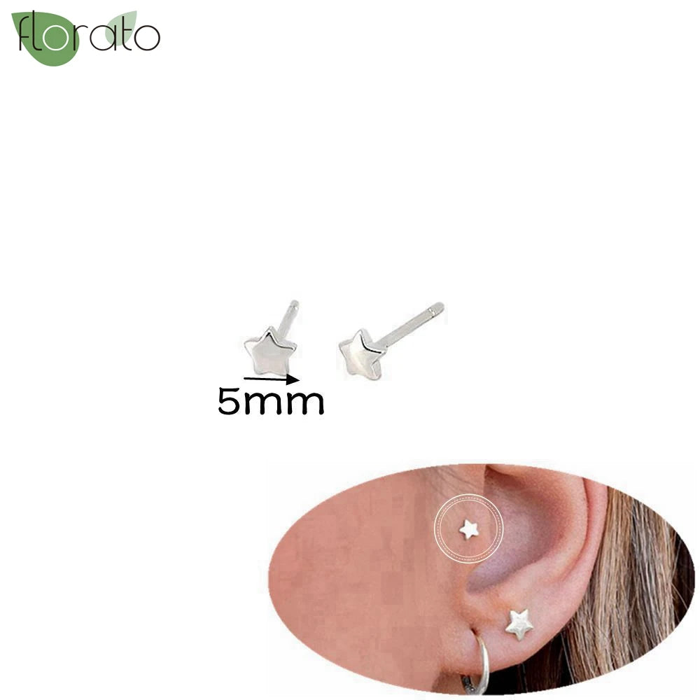 925 Silver Needle Exquisite Zircon Small Earrings Fashion Stud Earrings for Women Anti Allergy Cartilage Puncture Jewelry Gift