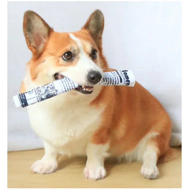 Bite-resistant Newspaper dog toys Funny Squeaky Sounder Sounding Paper Small medium chew dog toys Frenchbull Easy clean puppy