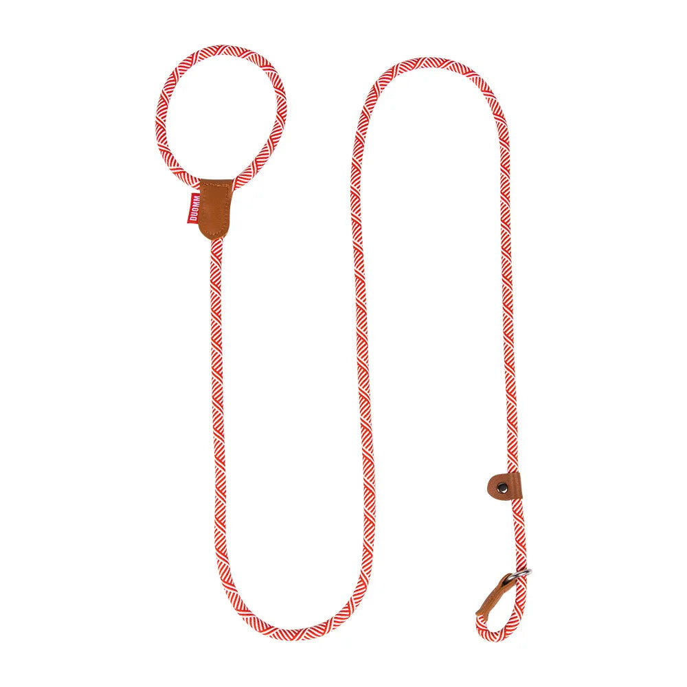 Premium Anti Escape Dog Leash Korean Jacquard Design for Small Medium Breeds No Pull P Chain with Safety Clip Reflective Trim