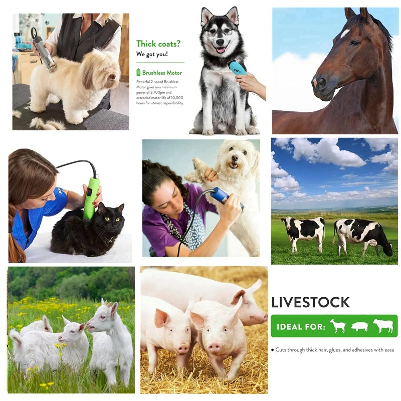 Black Detachable Pet Dog Cat Grooming Clipper Blade Compatible with Most Andis,Oster A5,Wahl KM10 Series Animals Clippers