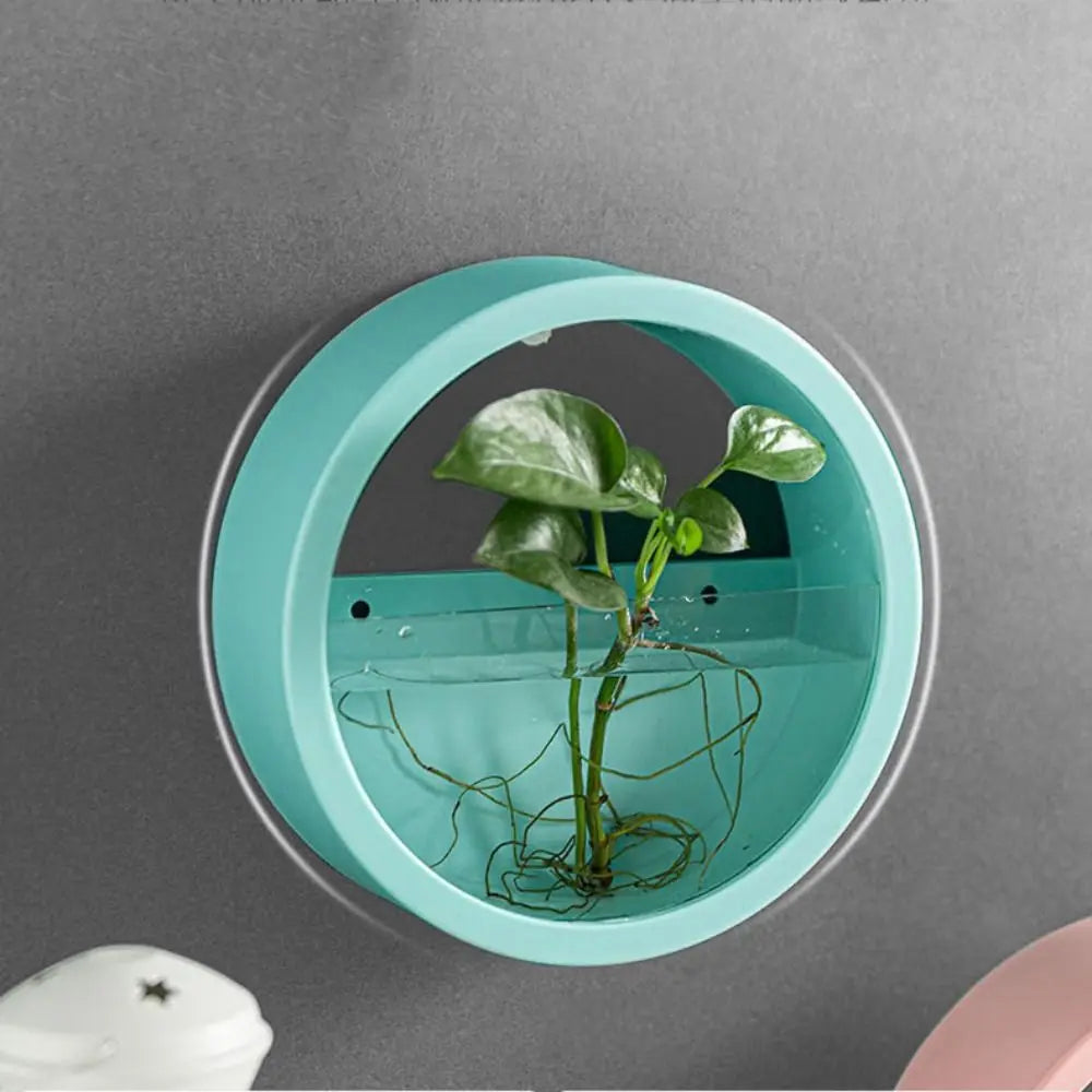 No Punching Indoor Green Dill Wall-mounted Flower Arrangement Flower Pot Ornaments Plant Container Hydroponic Vase Flowerpot