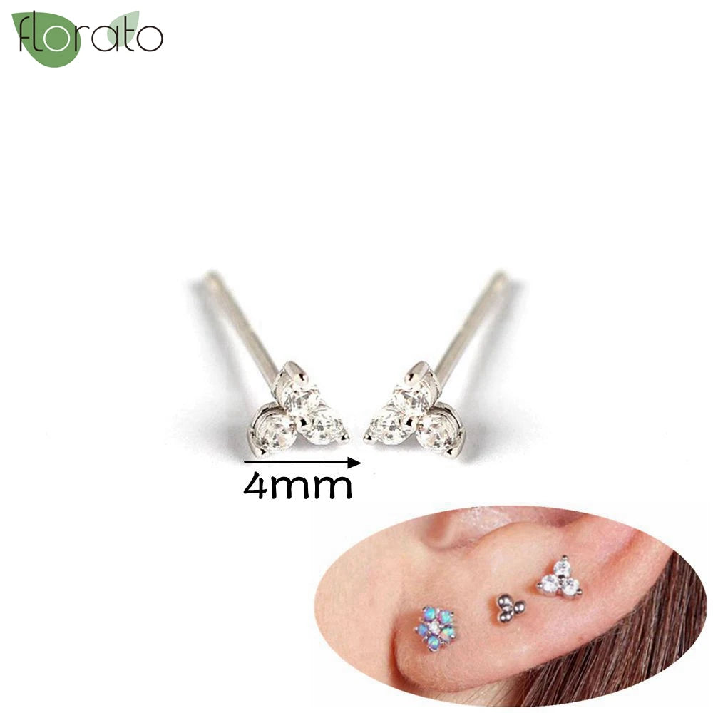925 Silver Needle Exquisite Zircon Small Earrings Fashion Stud Earrings for Women Anti Allergy Cartilage Puncture Jewelry Gift