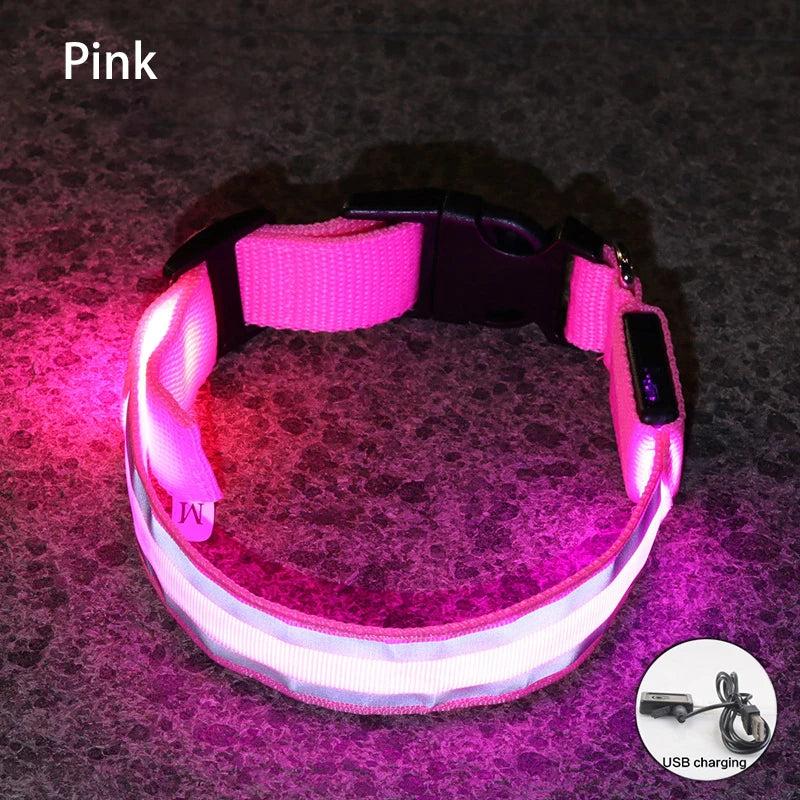 Premium Rechargeable LED Dog Collar - USB & Battery Night Safety Light