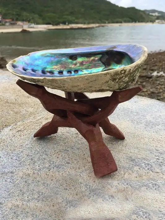 1pc Natural Green Abalone Shells, For Sage Smudging, Burning Incense,Incense Holder&Home Decoration Home Decor, Room Decor