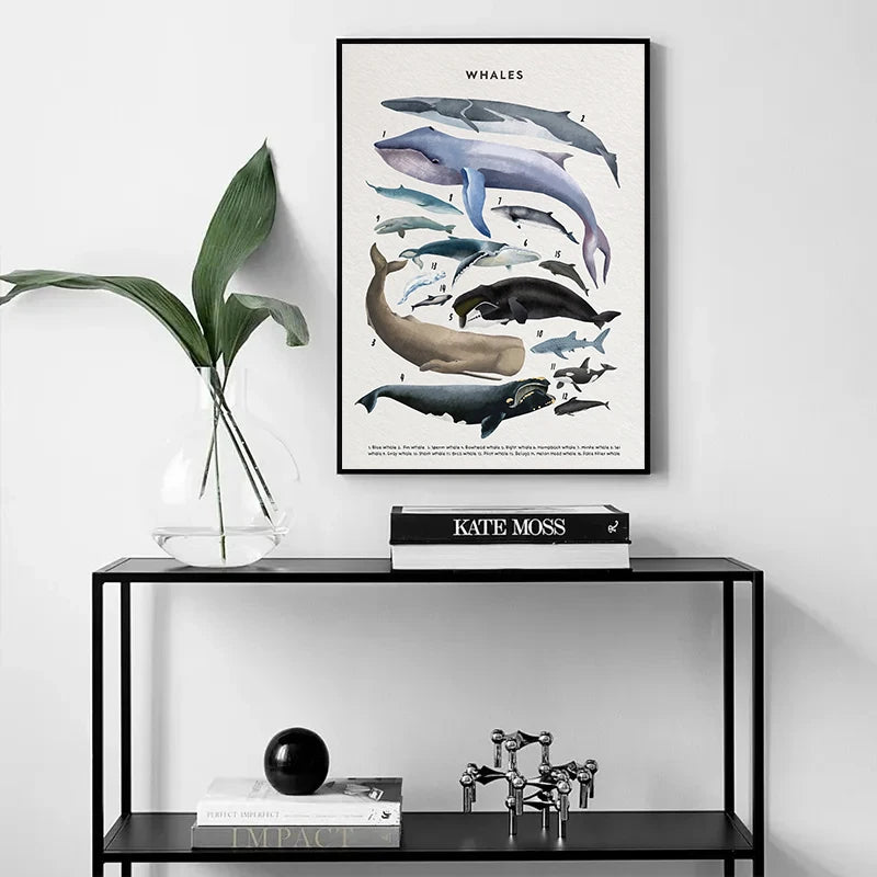 Whale and Shark Seashells Turtles Octopus Fish Marine Life Ocean Animals Poster Canvas Painting Wall Art Pictures Home Decor