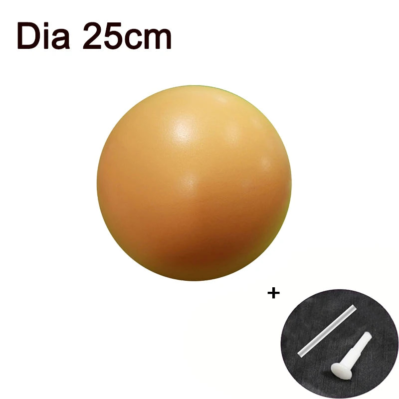 Premium Yoga Ball - Anti-Burst Exercise Ball 25cm/45cm with Pump