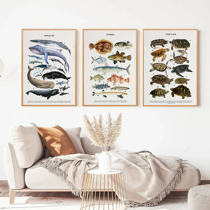 Whale and Shark Seashells Turtles Octopus Fish Marine Life Ocean Animals Poster Canvas Painting Wall Art Pictures Home Decor