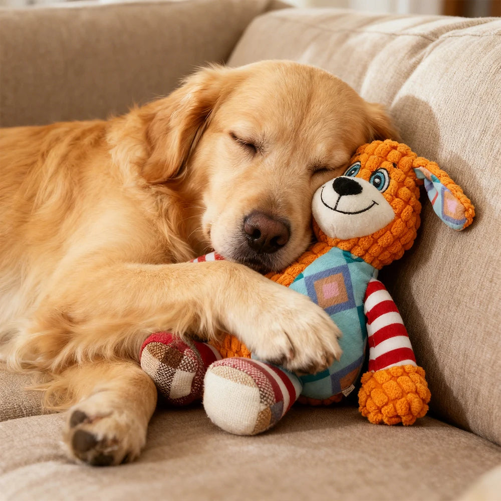 Interactive Pet Plush Toy for Cat And Dog Cute Squeaky Bite Resistant Puzzle Chew Toy for Teeth Cleaning Pet Supplies