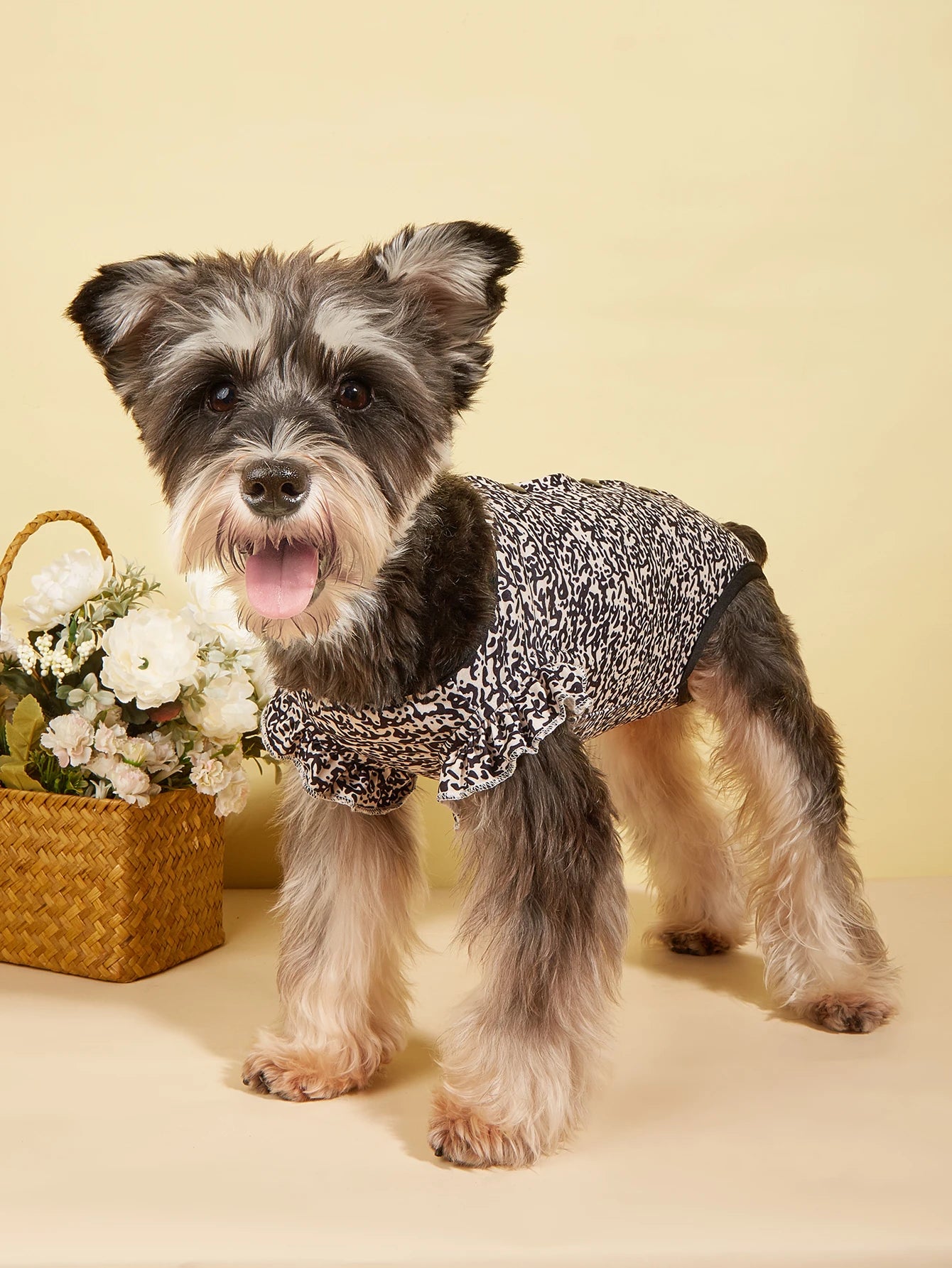 Dog Pjs Spring Summer Dog Clothes Hem Ruffle for Small Dogs Girl Boy , Cute Pattern Puppy Clothes Doggie Onesies Cat Pet