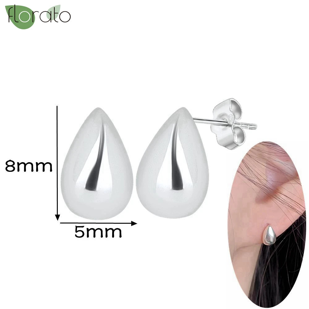 925 Silver Needle Exquisite Zircon Small Earrings Fashion Stud Earrings for Women Anti Allergy Cartilage Puncture Jewelry Gift