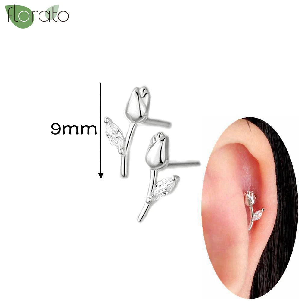 925 Silver Needle Exquisite Zircon Small Earrings Fashion Stud Earrings for Women Anti Allergy Cartilage Puncture Jewelry Gift