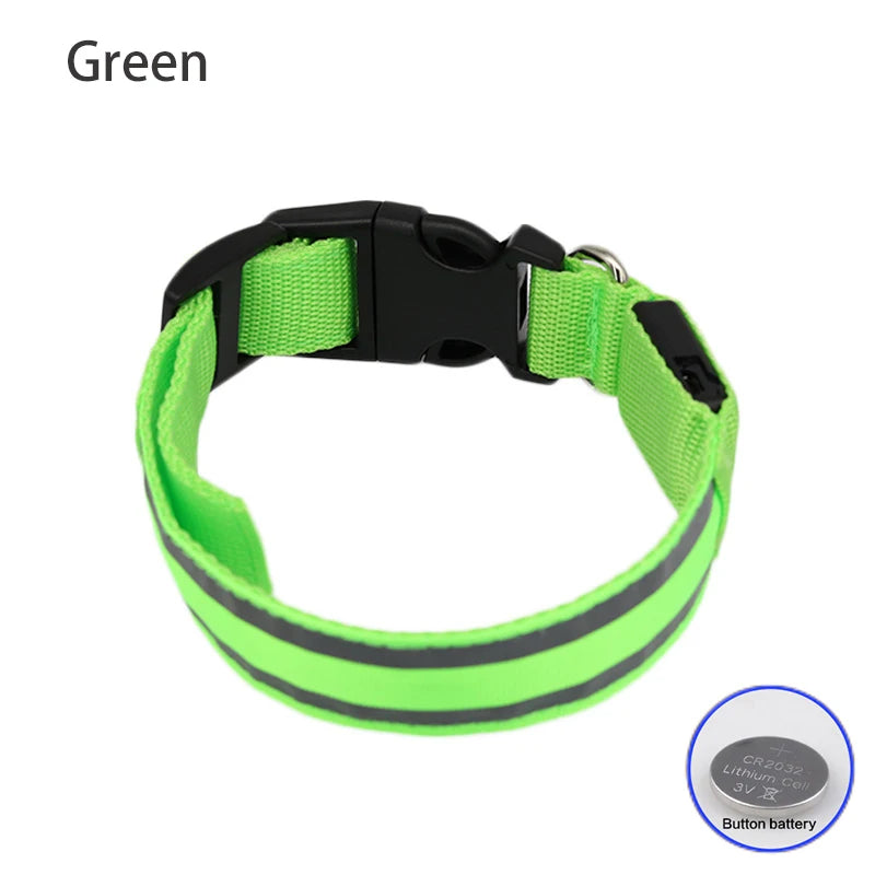 Premium Rechargeable LED Dog Collar - USB & Battery Night Safety Light