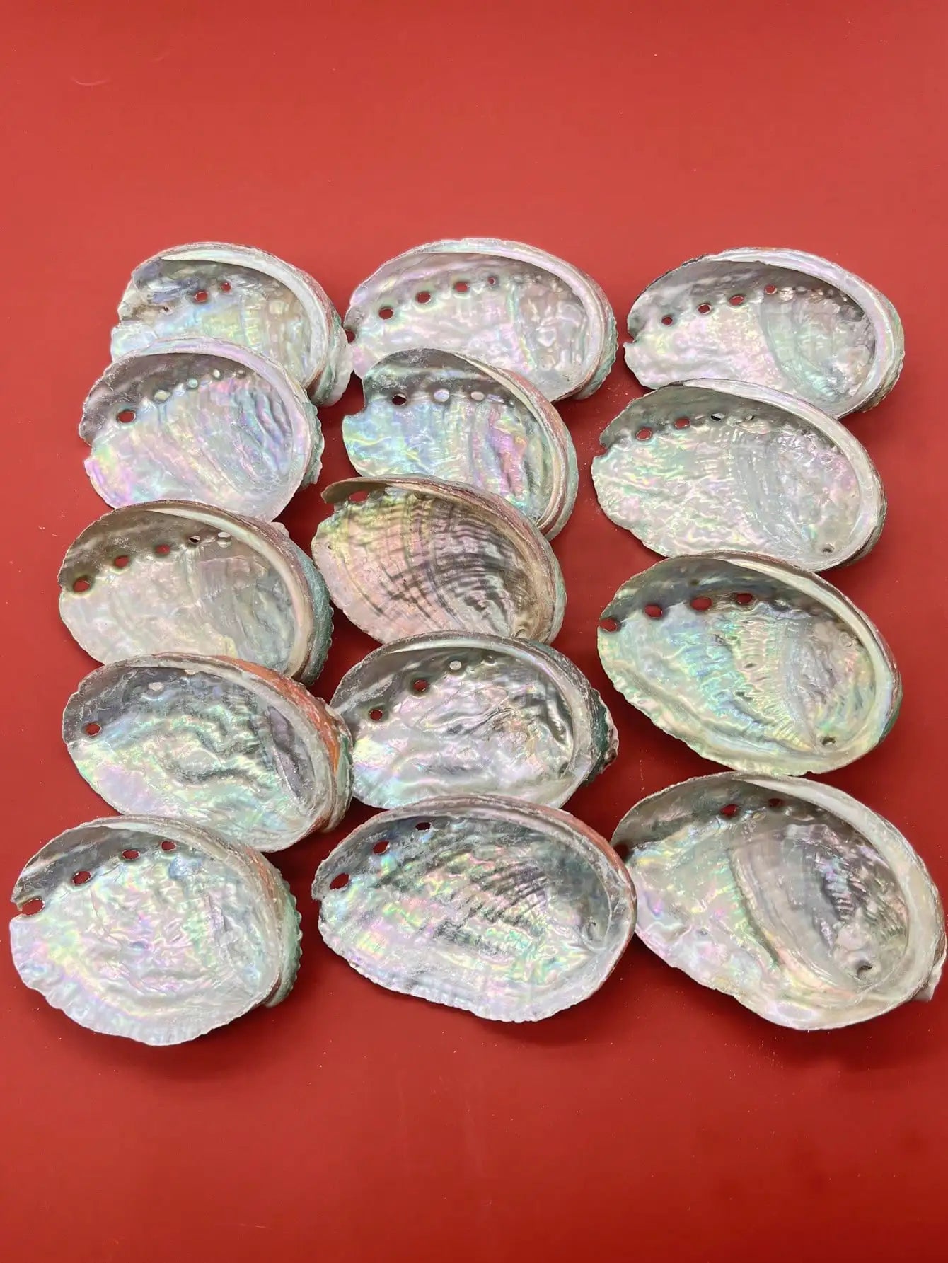 1pc Natural Green Abalone Shells, For Sage Smudging, Burning Incense,Incense Holder&Home Decoration Home Decor, Room Decor