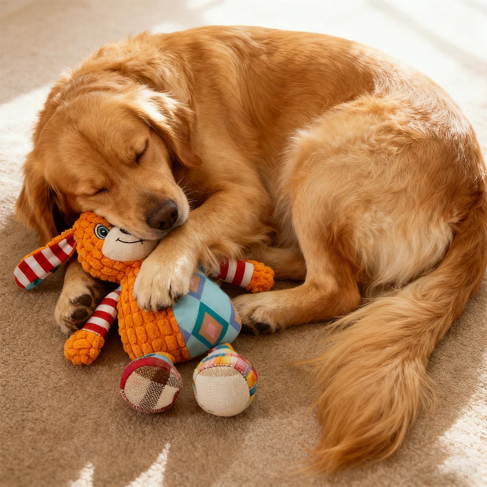 Interactive Pet Plush Toy for Cat And Dog Cute Squeaky Bite Resistant Puzzle Chew Toy for Teeth Cleaning Pet Supplies