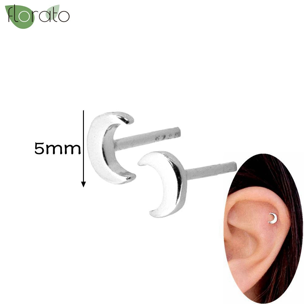 925 Silver Needle Exquisite Zircon Small Earrings Fashion Stud Earrings for Women Anti Allergy Cartilage Puncture Jewelry Gift