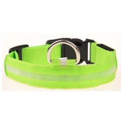 Premium LED Dog Collar - Glowing Night Safety Nylon Collar