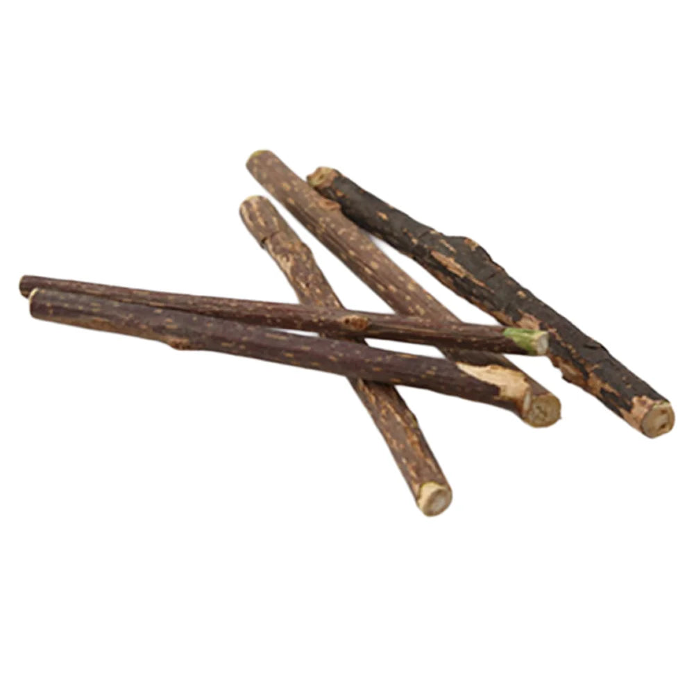 Premium Natural Matatabi Cat Chew Stick - Dental Care & Furniture Saver