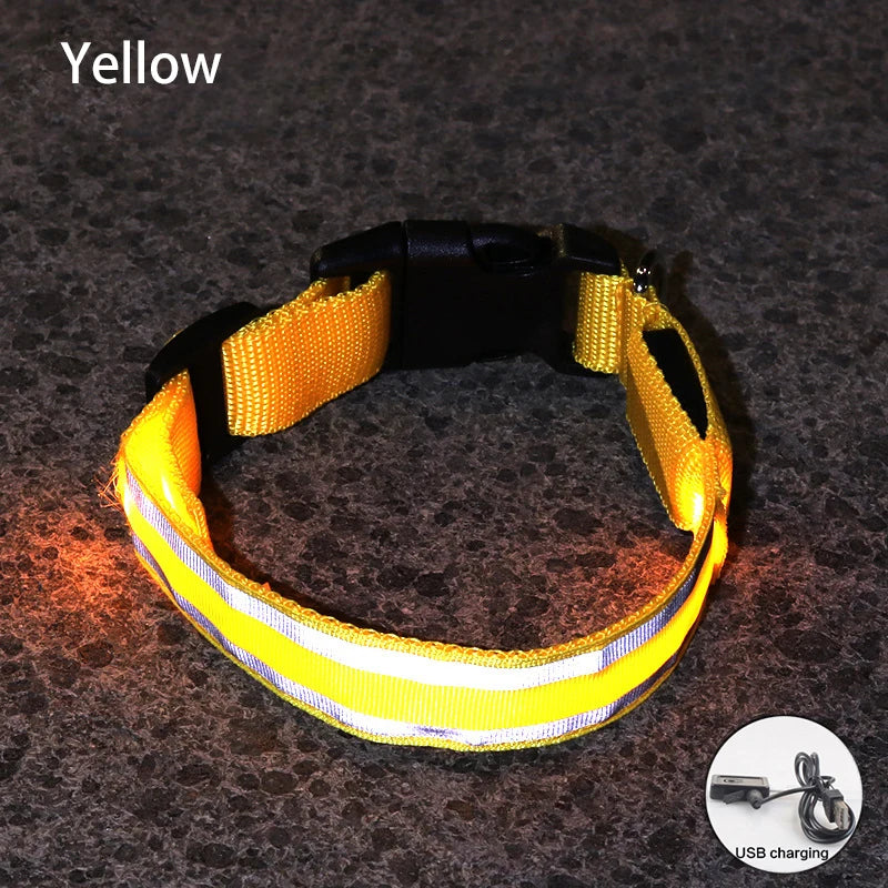 Premium Rechargeable LED Dog Collar - USB & Battery Night Safety Light