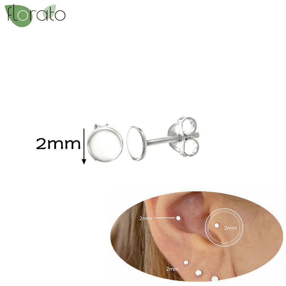 925 Silver Needle Exquisite Zircon Small Earrings Fashion Stud Earrings for Women Anti Allergy Cartilage Puncture Jewelry Gift