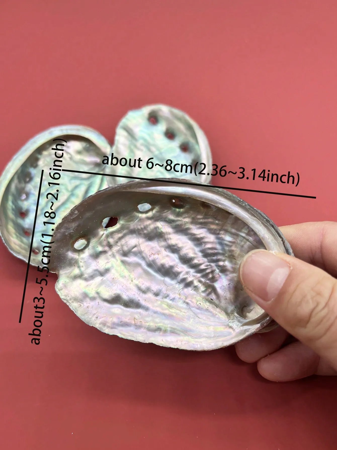 1pc Natural Green Abalone Shells, For Sage Smudging, Burning Incense,Incense Holder&Home Decoration Home Decor, Room Decor