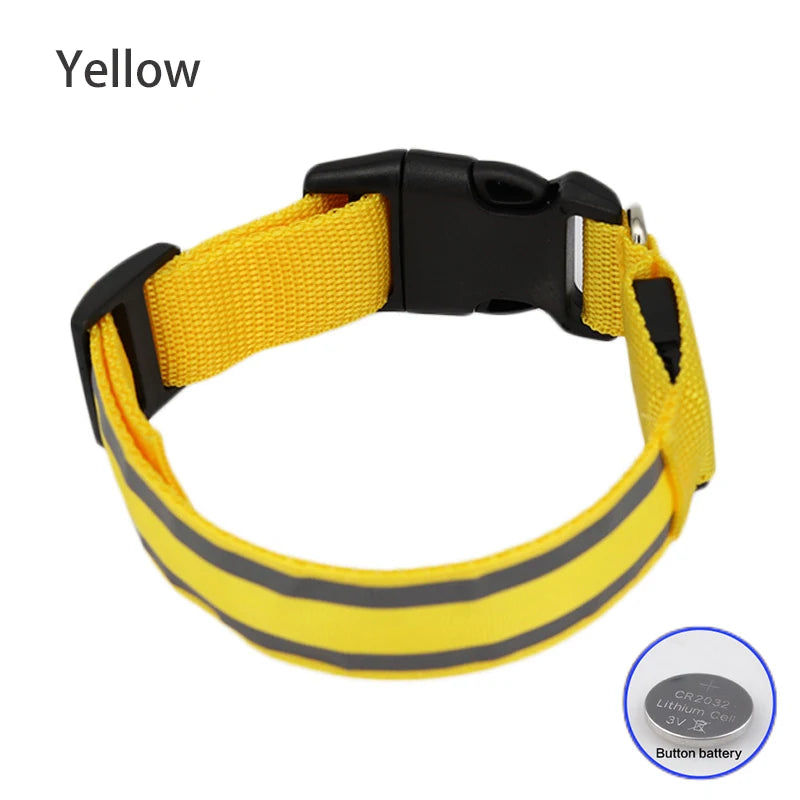 Premium Rechargeable LED Dog Collar - USB & Battery Night Safety Light