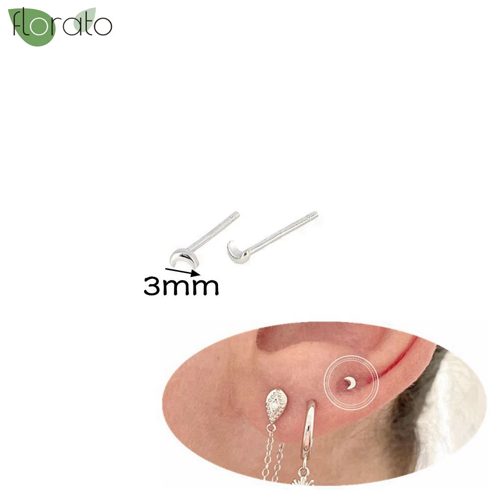 925 Silver Needle Exquisite Zircon Small Earrings Fashion Stud Earrings for Women Anti Allergy Cartilage Puncture Jewelry Gift